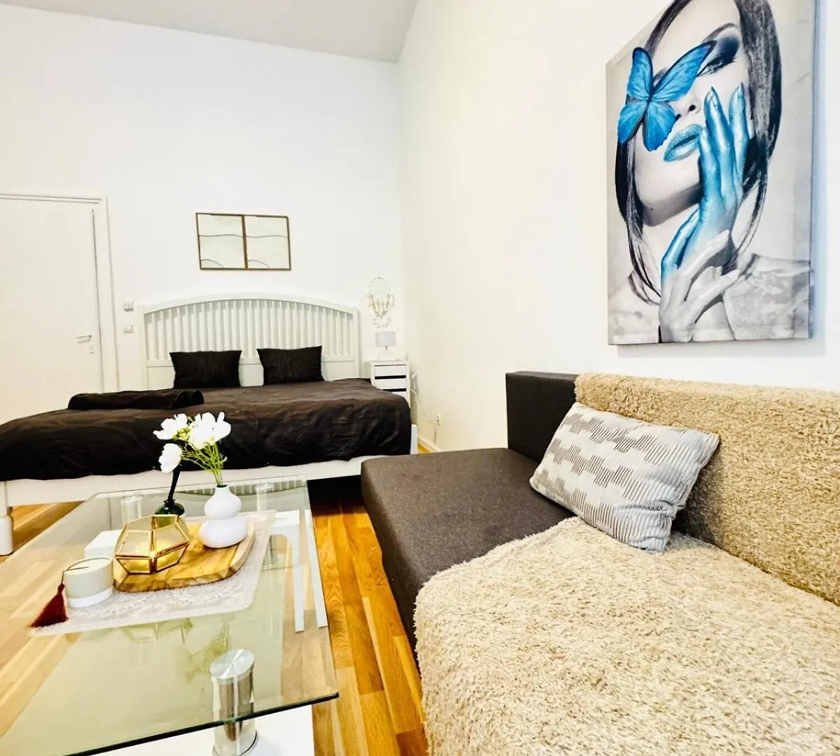Comfortable Studio Apt, 15 Minutes To Rathausplatz Vienna Apartment